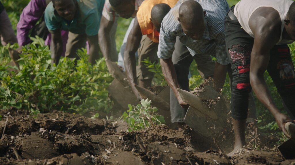 The Great Green Wall è il film di chiusura di CinemAmbiente. è disponibile in streaming gratuito dalle ore 21 di domenica 4 ottobre