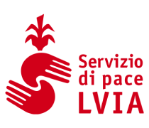 logo lvia